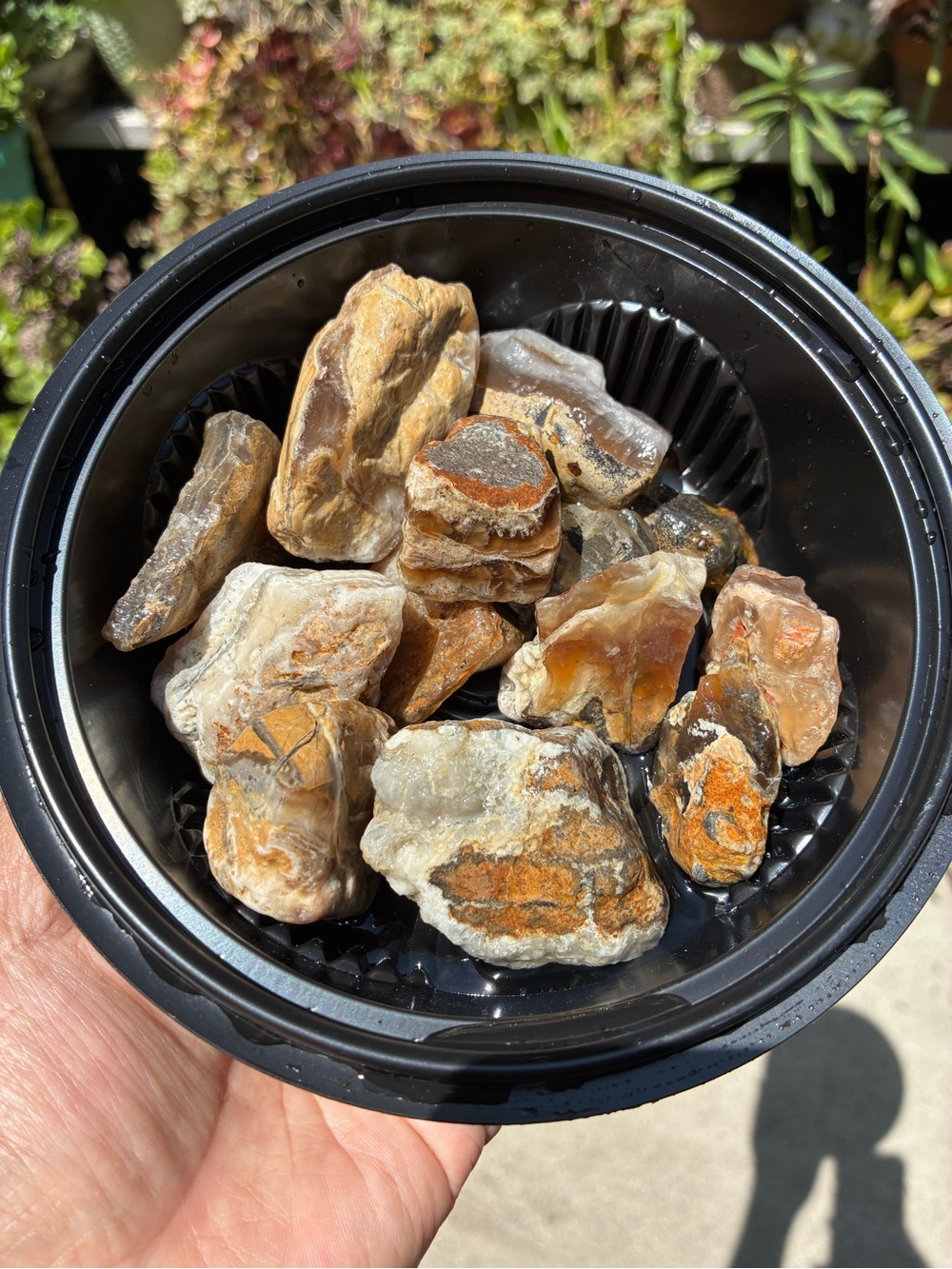 Fluorescent Naturally Sea Tumbled Rocks Many W/ Marbled Patterns